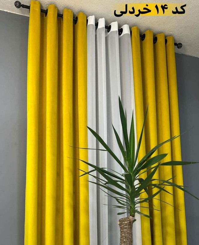 پرده مخمل کالیفرنیا