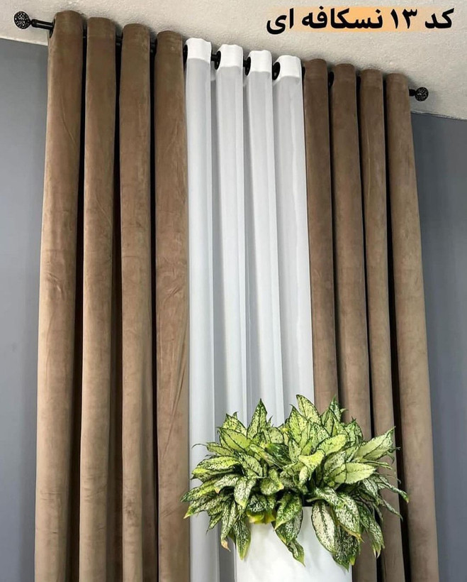 پرده مخمل کالیفرنیا